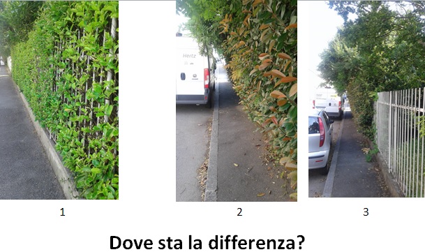 Via Ferrucci